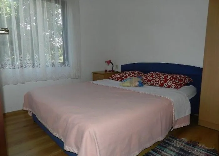 Ivan Apartamento
